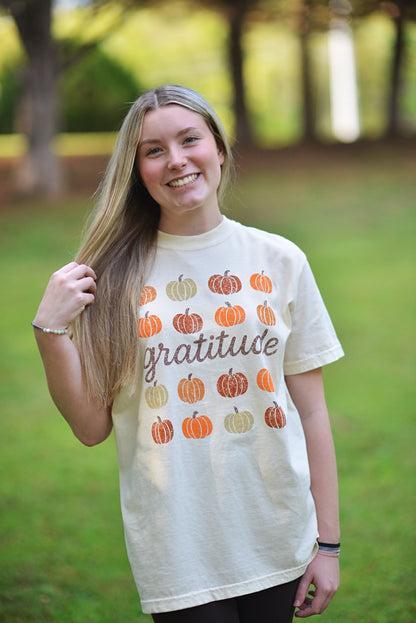 Gratitude Pumpkins {Comfort Colors}